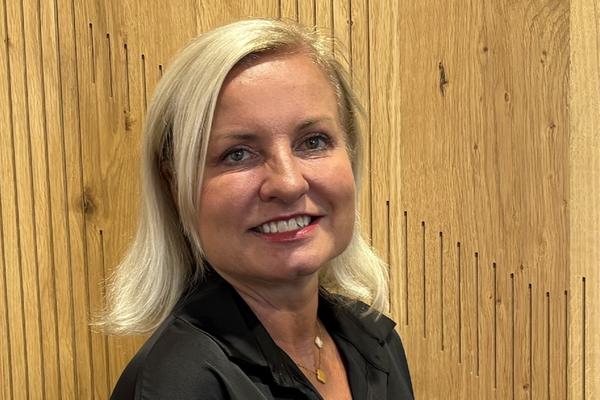 Barbara Pošívalová, Národní rozvojová investiční
